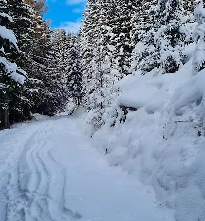 公寓 Chaletwohnung