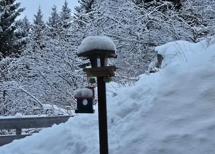 Apartmán Chaletwohnung