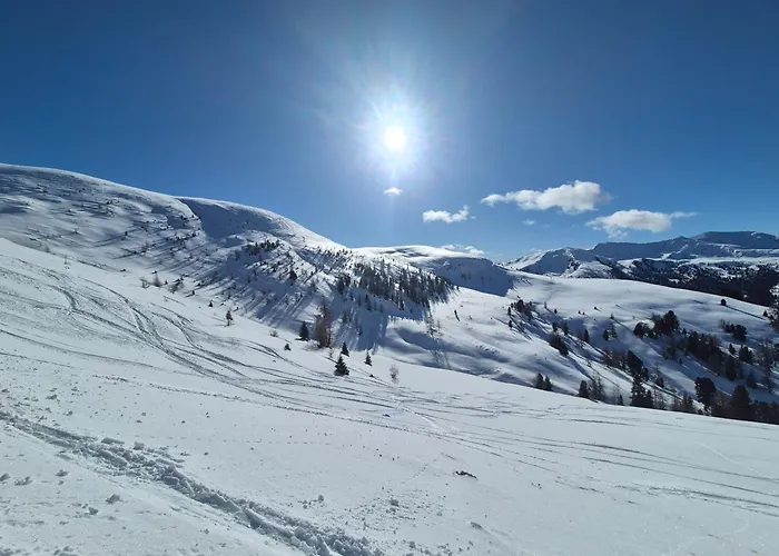 Chaletwohnung Innerkrems